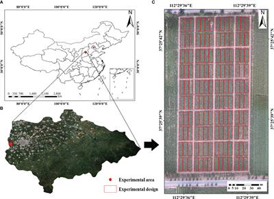Non-destructive monitoring of maize LAI by fusing UAV spectral and textural features